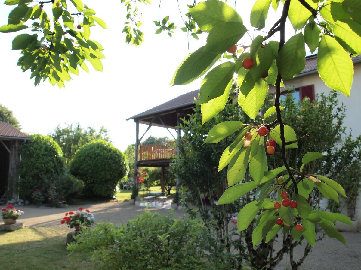 Les Jardins De Lily Saint-Léonard-de-Noblat Exterior foto